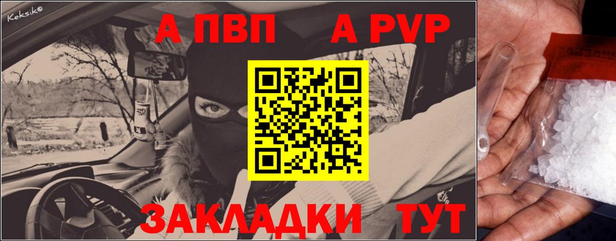 Альфа ПВП СК Курчатов