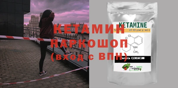 шишки Бикин