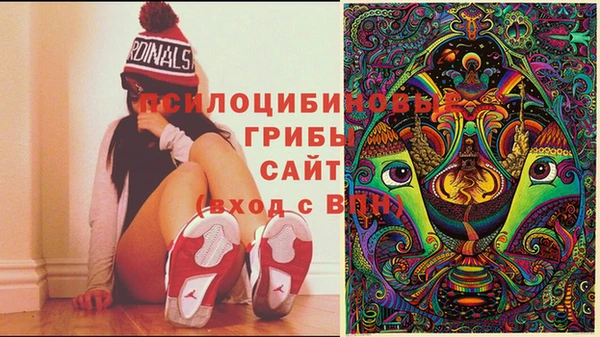 крисы Приозерск