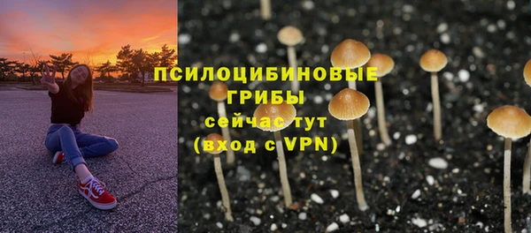 альфа пвп Ростов
