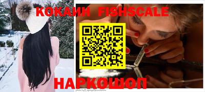 spice Кингисепп