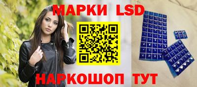 spice Кингисепп
