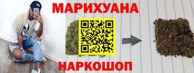 spice Кингисепп