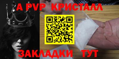 spice Кингисепп