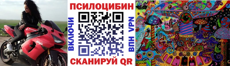 mega как войти Курчатов Галлюциногенные грибы GOLDEN TEACHER